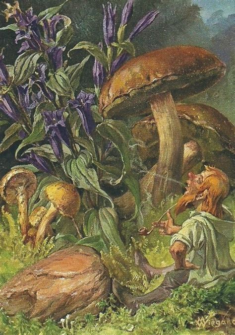 Magic mushrooms dunks